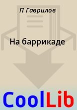 Книга - П.  Гаврилов - На баррикаде (fb2) читать без регистрации