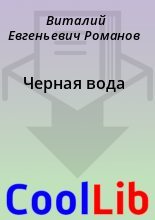 Книга - Виталий Евгеньевич Романов - Черная вода (fb2) читать без регистрации