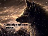 Книга - Александр Тарасович Гребёнкин - Волки (fb2) читать без регистрации