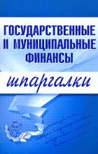 Книга - Мария Владимировна Новикова - Государственные и муниципальные финансы (fb2) читать без регистрации