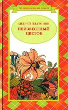 Книга - Андрей  Платонов - Безручка (fb2) читать без регистрации