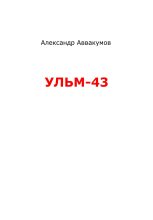 Книга - Александр Леонидович Аввакумов - УЛЬМ – 43 (fb2) читать без регистрации