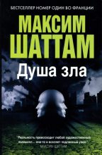 Книга - Максим  Шаттам - Душа зла (fb2) читать без регистрации