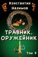 Книга - Константин  Назимов - Оружейник (fb2) читать без регистрации