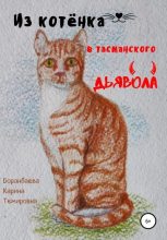 Книга - Карина Темировна Боранбаева - Из котёнка в тасманского дьявола (fb2) читать без регистрации