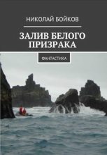 Книга - Николай Дмитриевич Бойков - Залив белого призрака (fb2) читать без регистрации