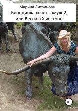 Книга - Марина Дмитриевна Литвинова - Блондинка хочет замуж-2, или Весна в Хьюстоне (fb2) читать без регистрации