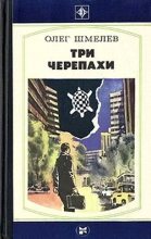 Книга - Олег Михайлович Шмелев - Три черепахи (fb2) читать без регистрации