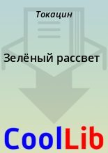 Книга -   Токацин - Зелёный рассвет (fb2) читать без регистрации