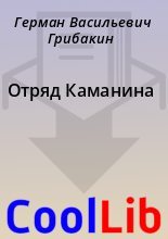 Книга - Герман Васильевич Грибакин - Отряд Каманина (fb2) читать без регистрации