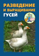 Книга - Илья  Мельников - Разведение и выращивание гусей (fb2) читать без регистрации