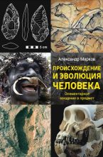 Книга - Александр Владимирович Марков (автор боевиков) - Происхождение и эволюция человека (fb2) читать без регистрации