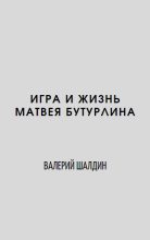 Книга - Валерий  Шалдин - Игра и жизнь (СИ) (fb2) читать без регистрации