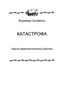 Книга - Владимир  Гринфельд - Катастрофа (fb2) читать без регистрации