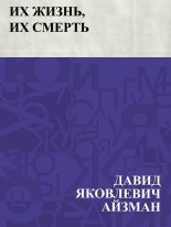 Книга - Давид Яковлевич Айзман - Их жизнь, их смерть (fb2) читать без регистрации