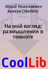 Книга - Юрий Николаевич Белкин (rbelkin) - На мой взгляд: размышления в темноте (fb2) читать без регистрации