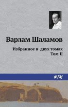 Книга - Варлам Тихонович Шаламов - Избранное в двух томах. Том II (fb2) читать без регистрации