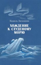 Книга - Камиль Фарухшинович Зиганшин - Хождение к Студеному морю (fb2) читать без регистрации