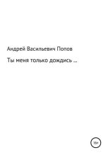 Книга - Андрей Васильевич Попов - Ты меня только дождись… (fb2) читать без регистрации