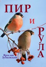 Книга - Ярослав Николаевич Зубковский - Пир и Рула (fb2) читать без регистрации