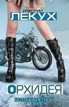 Книга - Дмитрий Валерьянович Лекух - Орхидея в мотоциклетном шлеме (сборник) (fb2) читать без регистрации