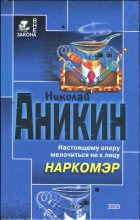 Книга - Николай  Аникин - Наркомэр (fb2) читать без регистрации