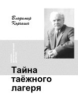 Книга - Владимир Владимирович Корчагин - Тайна таёжного лагеря (fb2) читать без регистрации
