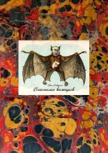 Книга - Хью  Дэвидсон - Властелин вампиров (fb2) читать без регистрации