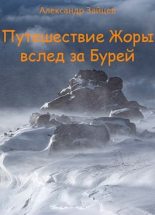 Книга - Александр  Зайцев (flector) - Путешествие Жоры вслед за Бурей (fb2) читать без регистрации