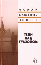 Книга - Исаак  Башевис-Зингер - Тени над Гудзоном (fb2) читать без регистрации