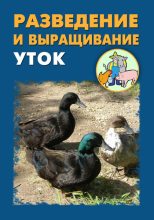 Книга - Илья  Мельников - Разведение и выращивание уток (fb2) читать без регистрации
