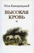 Книга - Ильгиз Бариевич Кашафутдинов - Высокая кровь (fb2) читать без регистрации