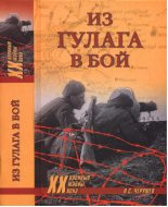 Книга - Николай Семенович Черушев - Из ГУЛАГа - в бой (fb2) читать без регистрации