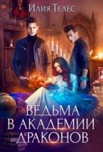 Книга - Настя  Ильина - Ведьма в академии драконов (fb2) читать без регистрации