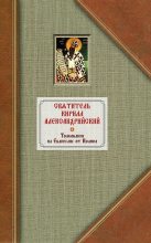 Книга - Кирилл  Александрийский - Толкование на Евангелие от Иоанна. Том II (fb2) читать без регистрации