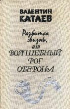 Книга - Валентин Петрович Катаев - Разбитая жизнь, или Волшебный рог Оберона (fb2) читать без регистрации