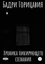 Книга - Бадри  Горицавия - Хроника пикирующего сознания (fb2) читать без регистрации