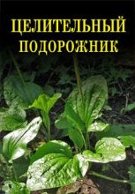 Книга - Иван Ильич Дубровин - Целительный подорожник (fb2) читать без регистрации