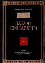 Книга - Владимир Алексеевич Шмаков - Закон синархии (fb2) читать без регистрации