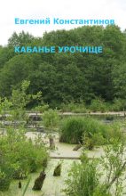 Книга - Евгений Михайлович Константинов - Кабанье урочище (fb2) читать без регистрации