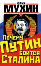Книга - Юрий Игнатьевич Мухин - Почему Путин боится Сталина (fb2) читать без регистрации