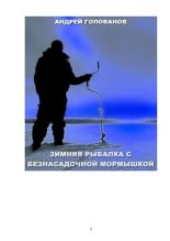 Книга - Андрей  Голованов - Зимняя рыбалка с безнасадочной мормышкой (pdf) читать без регистрации