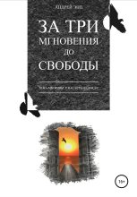 Книга - Андрей  Эпп - За три мгновения до свободы (fb2) читать без регистрации