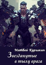 Книга - Матвей Геннадьевич Курилкин - Звезданутые в тылу врага (fb2) читать без регистрации