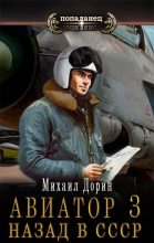 Книга - Михаил  Дорин - Авиатор: назад в СССР 3 (fb2) читать без регистрации