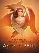 Книга - Святитель Феофан  Затворник - Душа и ангел (fb2) читать без регистрации