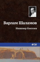 Книга - Варлам Тихонович Шаламов - Инженер Киселёв (fb2) читать без регистрации