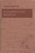 Книга - Дмитрий  Алехин - В лабиринте из визитов (fb2) читать без регистрации