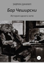 Книга - Даниил  Заврин - История одного кота (fb2) читать без регистрации
