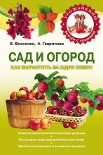 Книга - Елена Алексеевна Власенко - Сад и огород. Как вырастить за один сезон (fb2) читать без регистрации